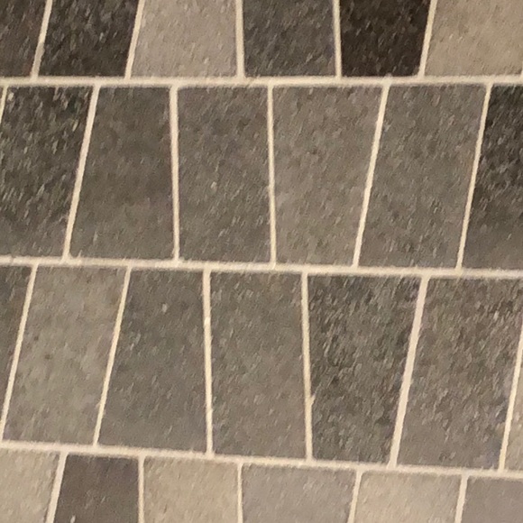 Meet your Posher, Sara - Picture 1 of 1